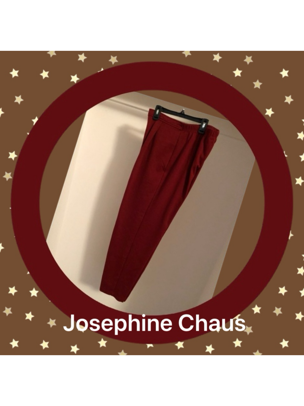 Rust Colored Slacks from Josephine Chaus (M)